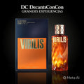 Virilis Paris Corner